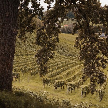 Weingut Assigal Βίλα Λάιμπνιτς Εξωτερικό φωτογραφία