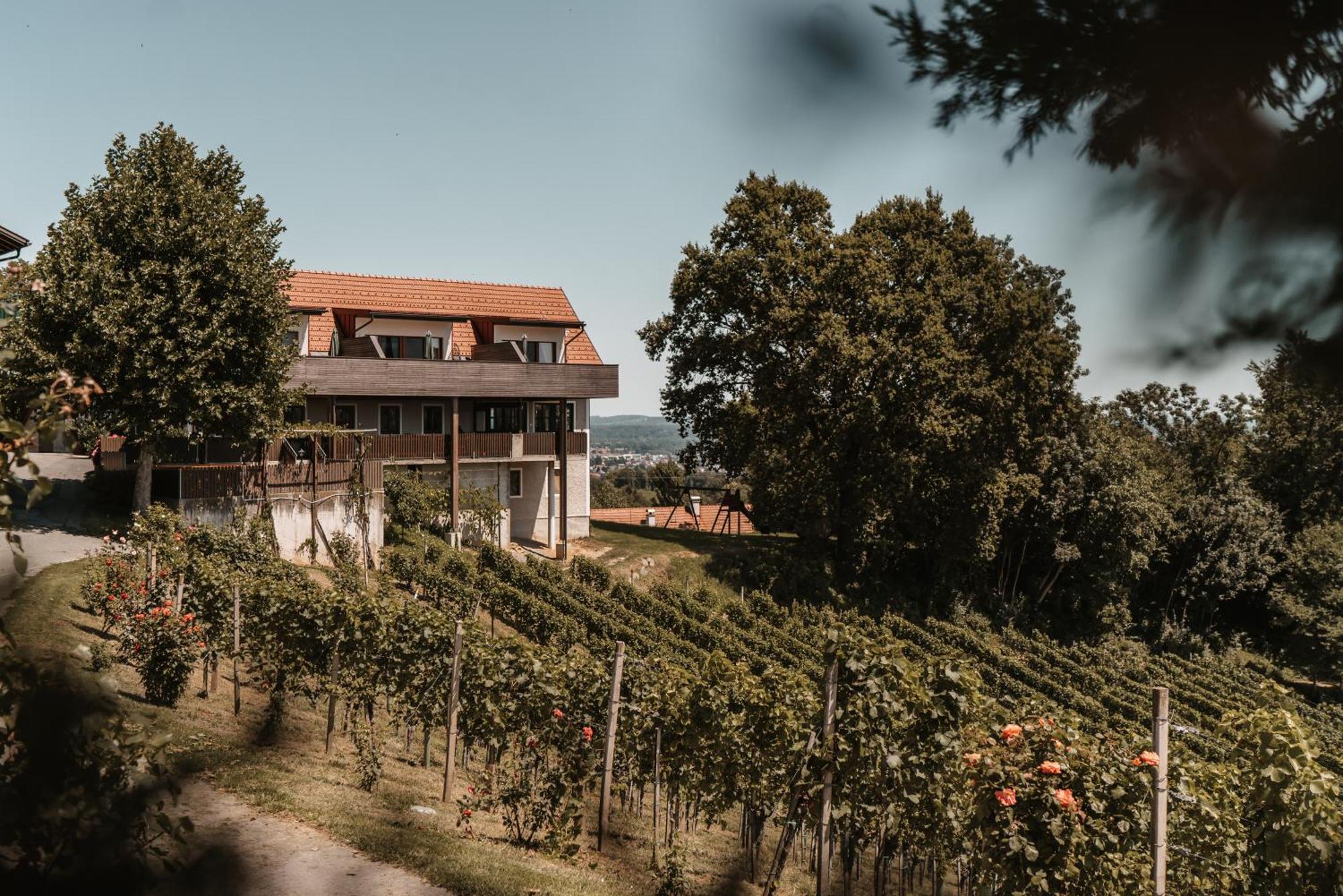 Weingut Assigal Βίλα Λάιμπνιτς Εξωτερικό φωτογραφία