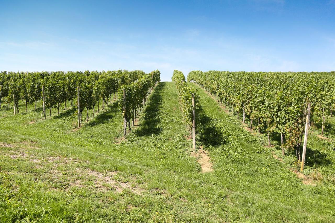 Weingut Assigal Βίλα Λάιμπνιτς Εξωτερικό φωτογραφία
